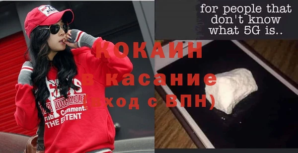 шишки Мурманск