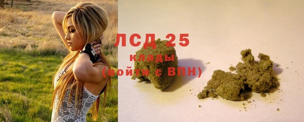 шишки Мурманск