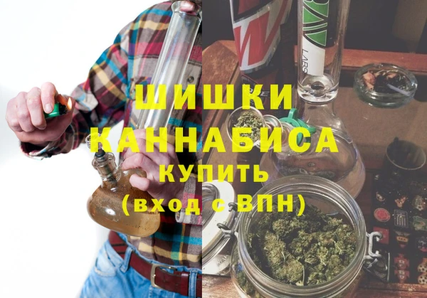 шишки Мурманск