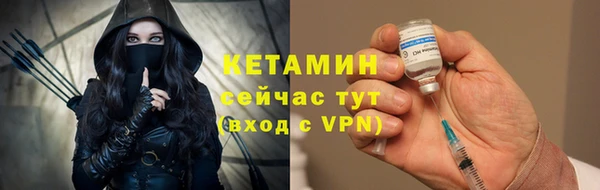шишки Мурманск