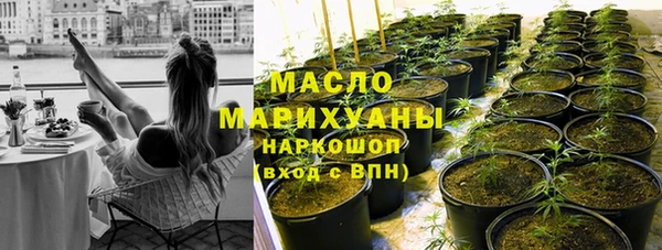 шишки Мурманск