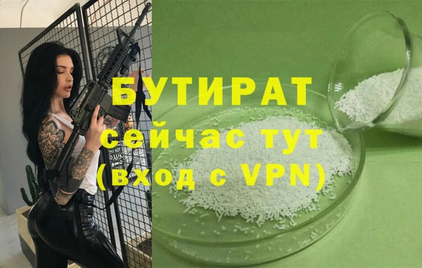 шишки Мурманск