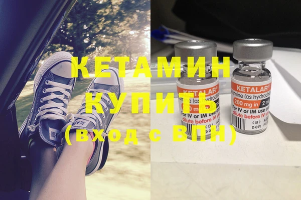 шишки Мурманск