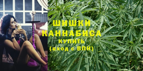 шишки Мурманск